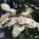 내내농수산 이미지