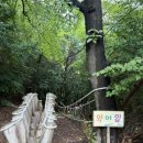 새울산유치원 이미지