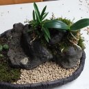 안덕중학교 이미지