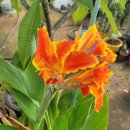 칸나하우스 이미지