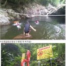 단풍나무펜션민박 이미지