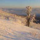 제177차＜마감＞ 태백산 설경산행안내(2월12일,일요일) 이미지