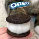 오늘도 너와 이미지