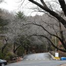 아차산공원 Daum카페