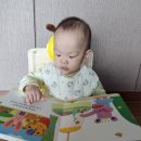 대세농장 | [내돈내산] 어스본 12권 찐후기 vs 요즘 대세 플레이송스 전격 비교! 33개월 첫째부터 7개월 둘째까지...