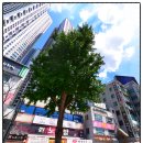 아진공인중개사사무소 이미지