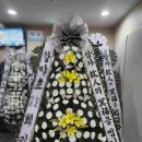 파티마병원 | 경남 창원시 의창구 (명서동) 창원파티마병원장례식장 근조 기업 화환 야간 꽃배달