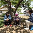 철원제분소 이미지