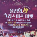 현대자동차 옥동점 | 울산대공원 크리스마스 마켓 12월 울산 가볼만한곳 방문 후기