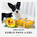 퀘스트 | 대형견 노즈워크 추천 : 포우퀘스트 아보카도 강아지 장난감 후기
