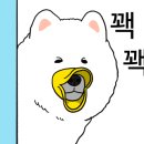 팔공 큰 돼지찌개 이미지