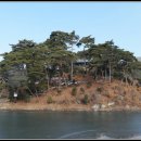 호계천변 이미지