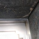 죽전로-2 이미지