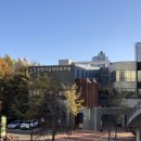 덕이도서관 이미지