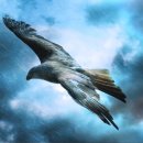 봉정초교 이미지