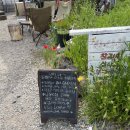 산채상회 이미지