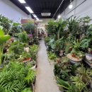 버스정류장(쌍암공원) 이미지