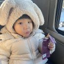 쏭다올 이미지