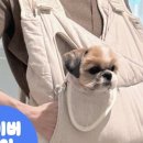 안녕모드니