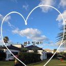 제주 빙새기 이미지