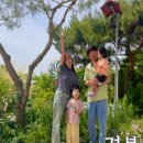 도혜원민박 이미지