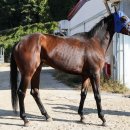 소베라니아 이미지