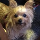 충주시신니보건지소 이미지