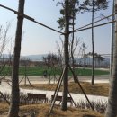 옥정체육공원 축구장 이미지