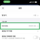 웨일라이트