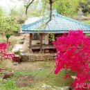 동부농협지정지점 이미지