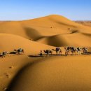 실크로드(SILK ROAD)