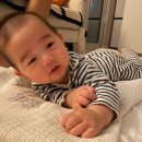 나랑 스테이 | 5개월 아기 강화도 여행 펜션 "스테이에코" 내돈내산 후기