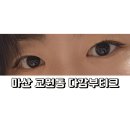 다감부티크 - 창원시 마산합포구 노산서18길 48 | 마산 속눈썹 연장 유목민 정착 후기 교원동 다감 부티크