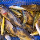 스카이 좌대낚시터 이미지