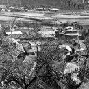 월굴리 마을회관 이미지