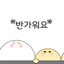 금담안동찜닭 네이버블로그
