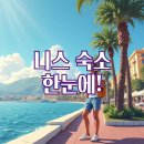 몽메드 | 니스 여행 숙소 선택! 지역별 특징과 추천 숙소 완벽 가이드