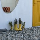 또,봄이네 이미지