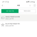 카피스