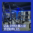 코코환경 | 오송 2산단 헬스장 코코피트니스 피티 수업 후기