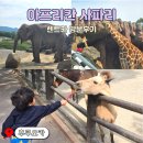 (유)준렌트카 | 후쿠오카 아프리칸 사파리 렌트카 입장권 가격 버스투어 비교 내돈내산 후기