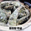 동피랑사람들 | 통영 굴 맛집 코스로 즐길 수 있는 가성비 갑 동피랑쭈굴 또간집 솔직후기