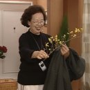 제로파이브