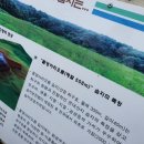 오름엠 네이버블로그