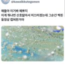 어른의 좋은점: 통일감 없는 간식을 잔뜩모아 밤 11시에 다 먹을수있음.twt 이미지