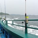 송이와 국진이네 | 속초 배낚시 최고였던 조황!