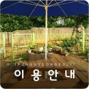 풍경소리민박 - 제주시 대림로 101-5 | 풍경소리민박