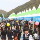 단양군일자리종합지원센터 이미지
