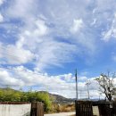 와촌농협 | 대구 근교 아이와 밀양 여행 ☆ 조리원 친구들과 밀양 촌캉스 즐기기