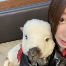 공명목장 이미지